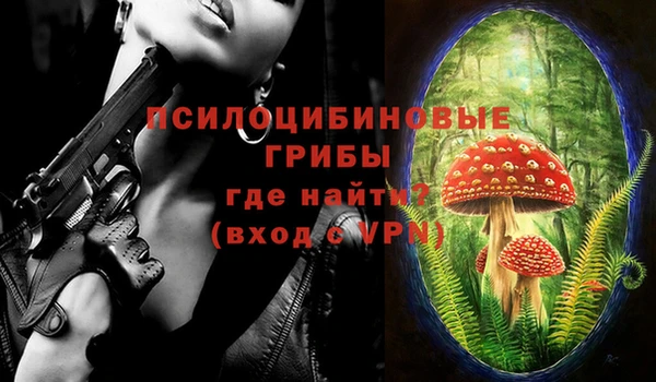 эйфоретик Новозыбков